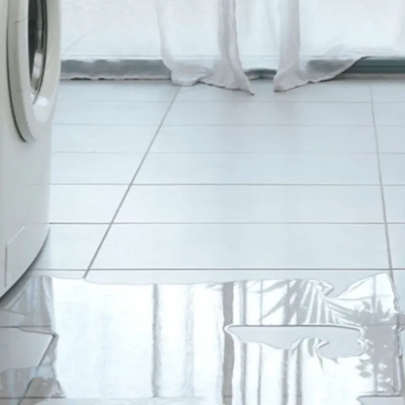 Appliance Leak Cleanup in Lockhart, FL